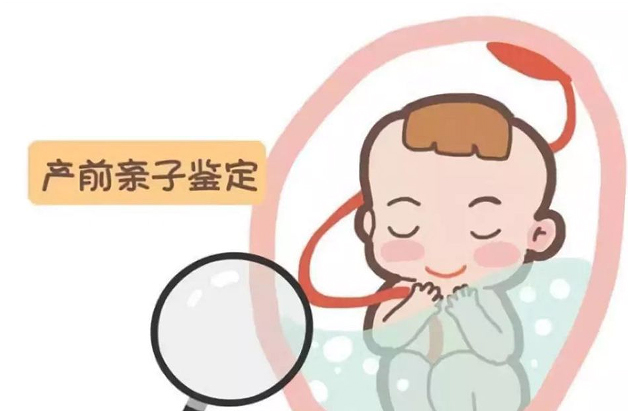 江西省如何做怀孕亲子鉴定,