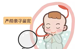 江西省如何做怀孕亲子鉴定